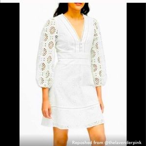 Eyelet puff sleeve dress Banana Republic - so cute